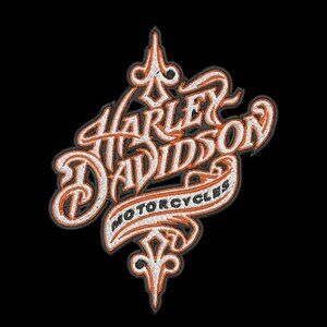 Harley Davidson HOODIE Embroidered Adult Unisex Sweatshirt Orange Script Biker